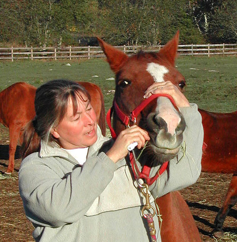 Give a gift that matters: a donation in your friend's name. Your gift will provide one de-wormer treatment for a senior horse helping to assure both their healt