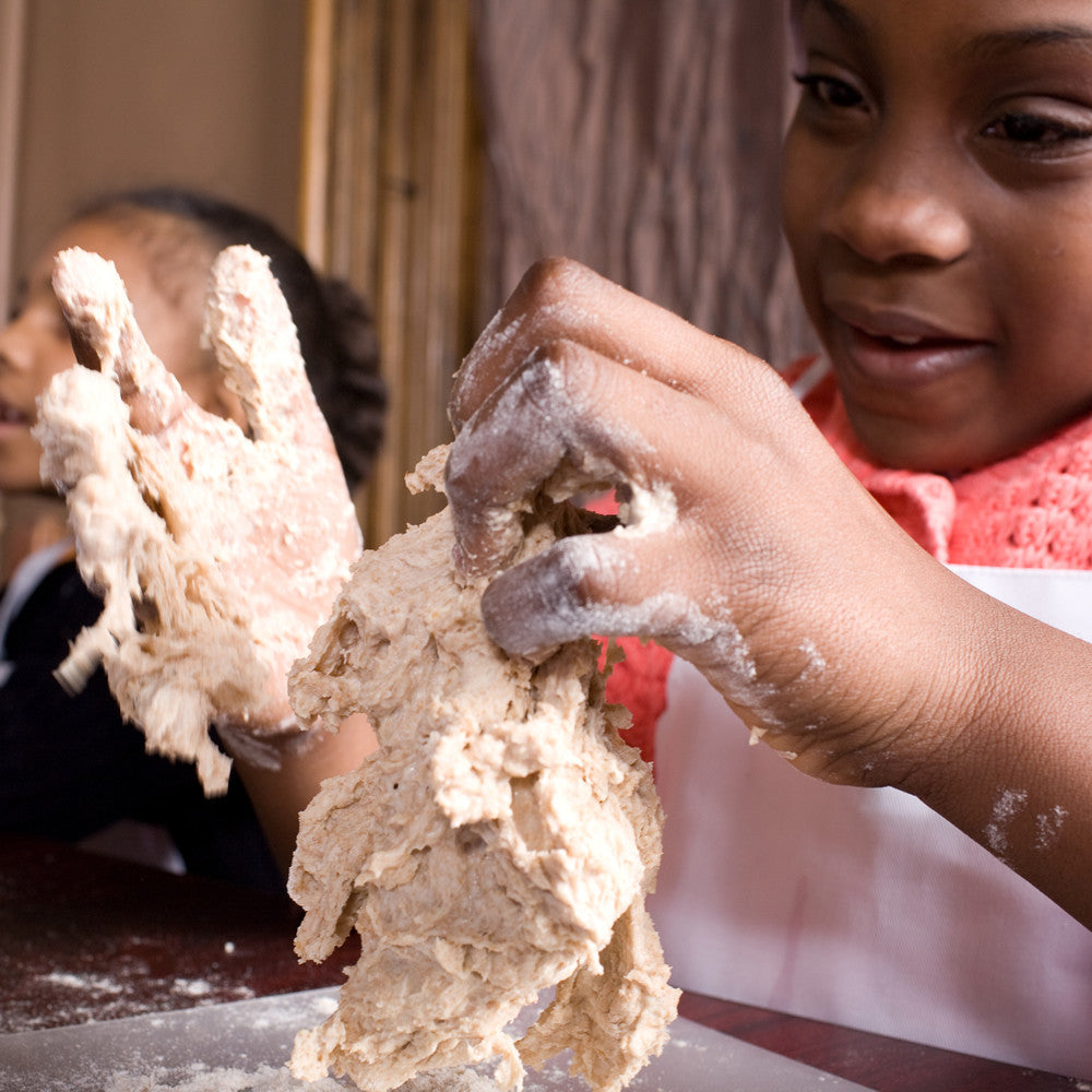 Grow Scientists - Build Science Programs - Charitable Gift – Changing ...