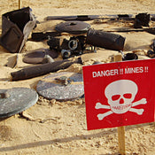 Support Your Favorite Landmines Nonprofit