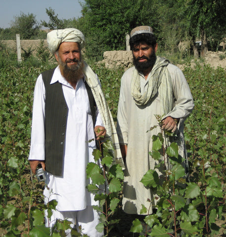 Give a gift that matters: a donation in your friend's name. This gift will provide an Afghan farmer with the supplies necessary to plant three trees. 
