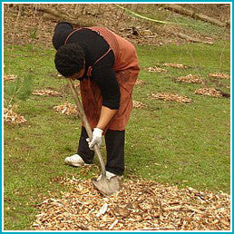 Give a gift that matters: a donation in your friend's name. Trees need mulch to get nutrients and retain moisture. Volunteers will spread mulch so trees can gro